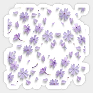 LAVENDER FLOWERS Sticker